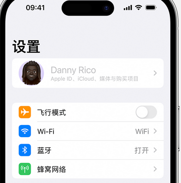 萍乡appleID维修服务iPhone设置中Apple ID显示为灰色无法使用 