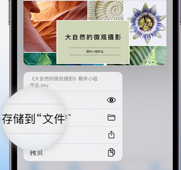 萍乡apple维修中心分享iPhone文件应用中存储和找到下载文件