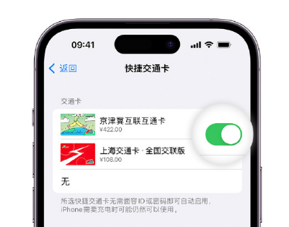 萍乡apple维修点分享iPhone上更换Apple Pay快捷交通卡手绘卡面 