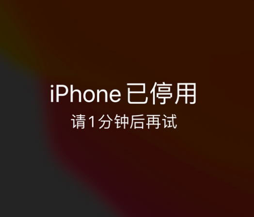 萍乡苹果手机维修分享:iPhone 显示“不可用”或“已停用”怎么办？还能保留数据吗？ 