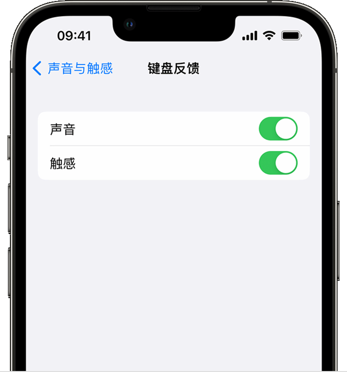 萍乡苹果14维修店分享如何在 iPhone 14 机型中使用触感键盘 