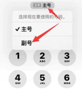 萍乡苹果14维修店分享iPhone 14 Pro Max使用副卡打电话的方法 