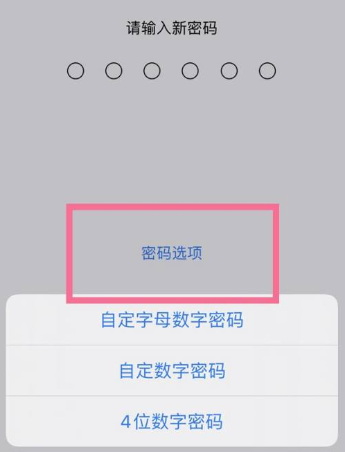 萍乡苹果14维修分享iPhone 14plus设置密码的方法 