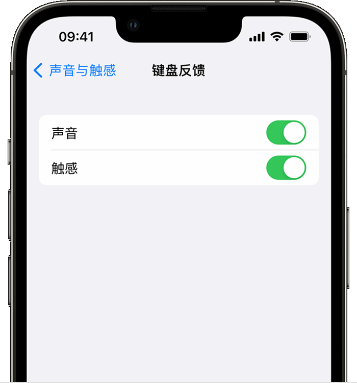 萍乡苹果14维修分享iPhone 14 系列机型如何开启键盘声音或触感反馈 