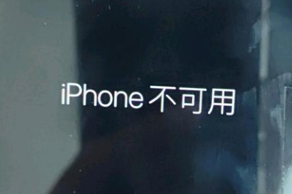 萍乡苹果服务网点分享锁屏界面显示“iPhone 不可用”如何解决 