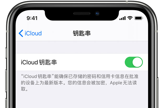 萍乡苹果手机维修分享在 iPhone 上开启 iCloud 钥匙串之后会储存哪些信息 