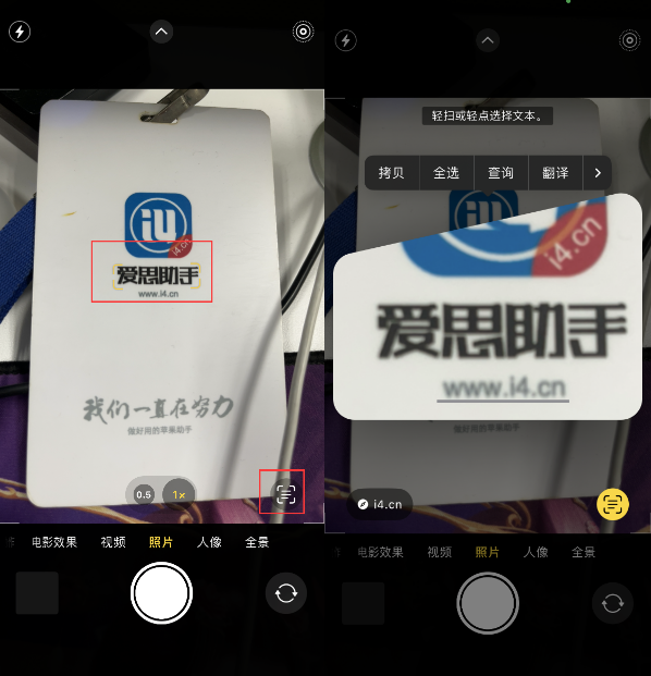萍乡苹果手机维修分享升级iOS 16后如何通过相机翻译文本 