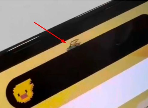 萍乡苹果14维修分享iPhone 14 Pro Max灵动岛怎么养宠物 