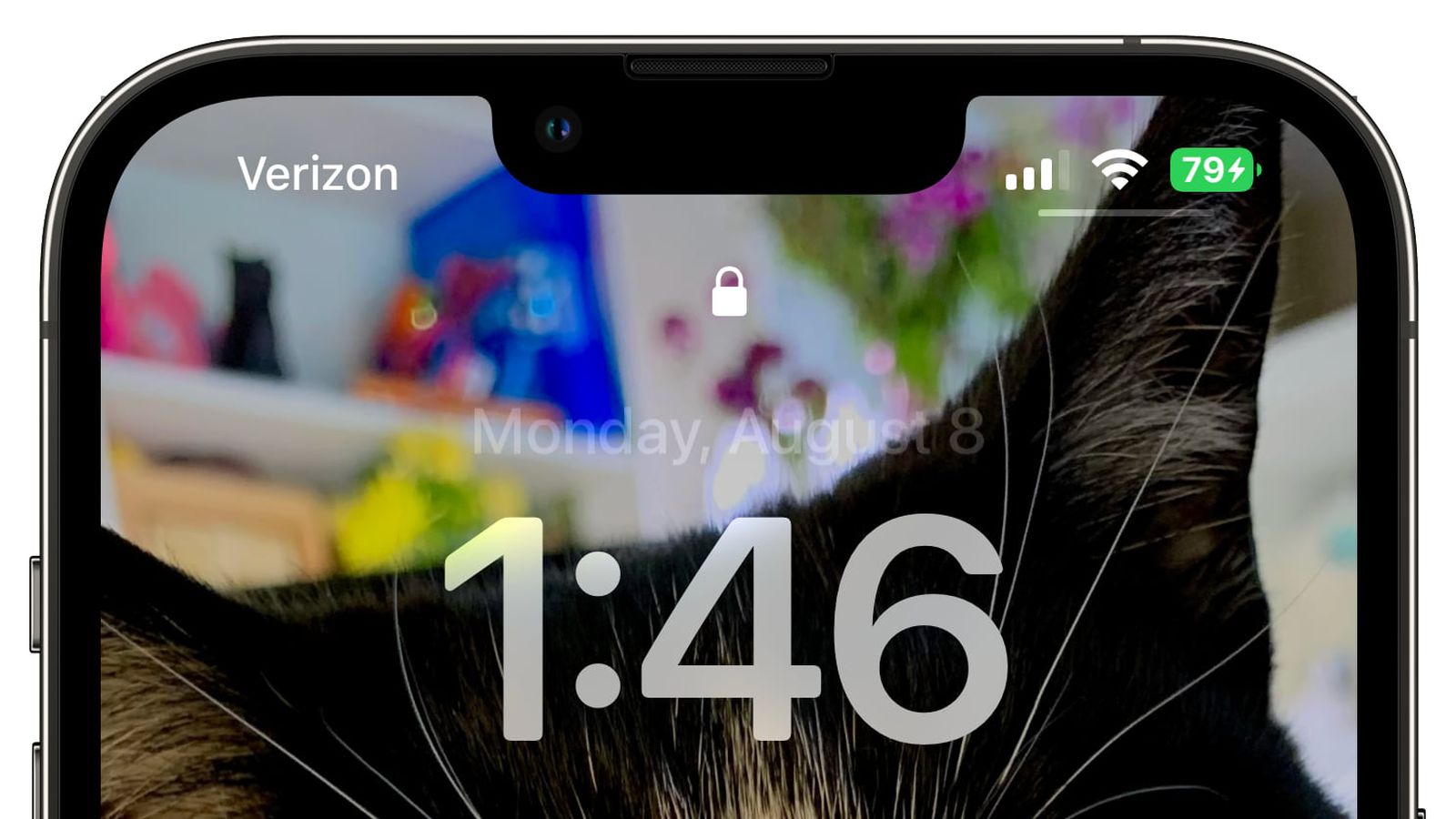 萍乡苹果手机维修分享iOS 16 beta 5 支持状态栏显示电池百分比，如何开启？支持哪些机型 