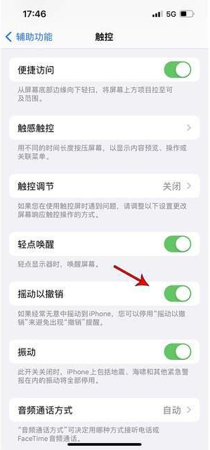 萍乡苹果手机维修分享iPhone手机如何设置摇一摇删除文字 