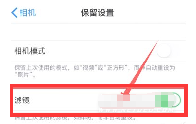 萍乡苹果13维修分享iPhone13拍照有绿点是怎么回事 