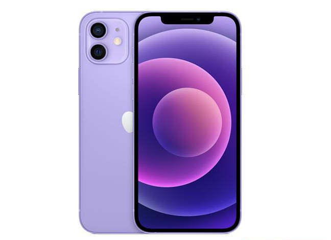 萍乡苹果手机维修分享现阶段要不要入手紫色版iPhone12 
